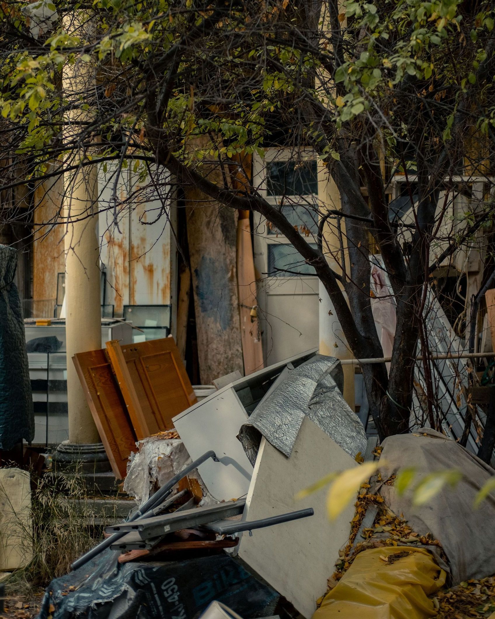 Abandoned building overgrown with trees and debris, capturing urban decay.